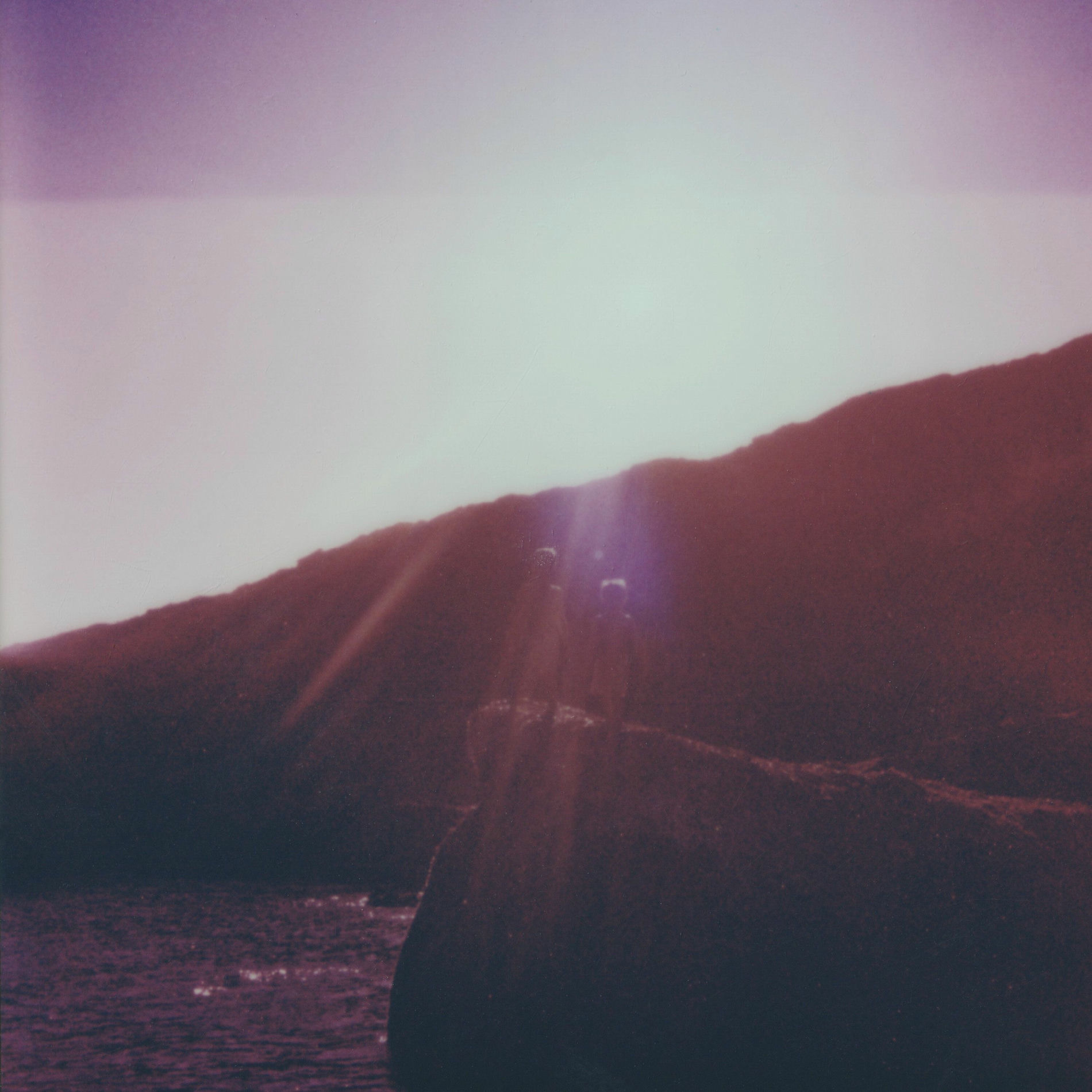 Album cover of Bloom