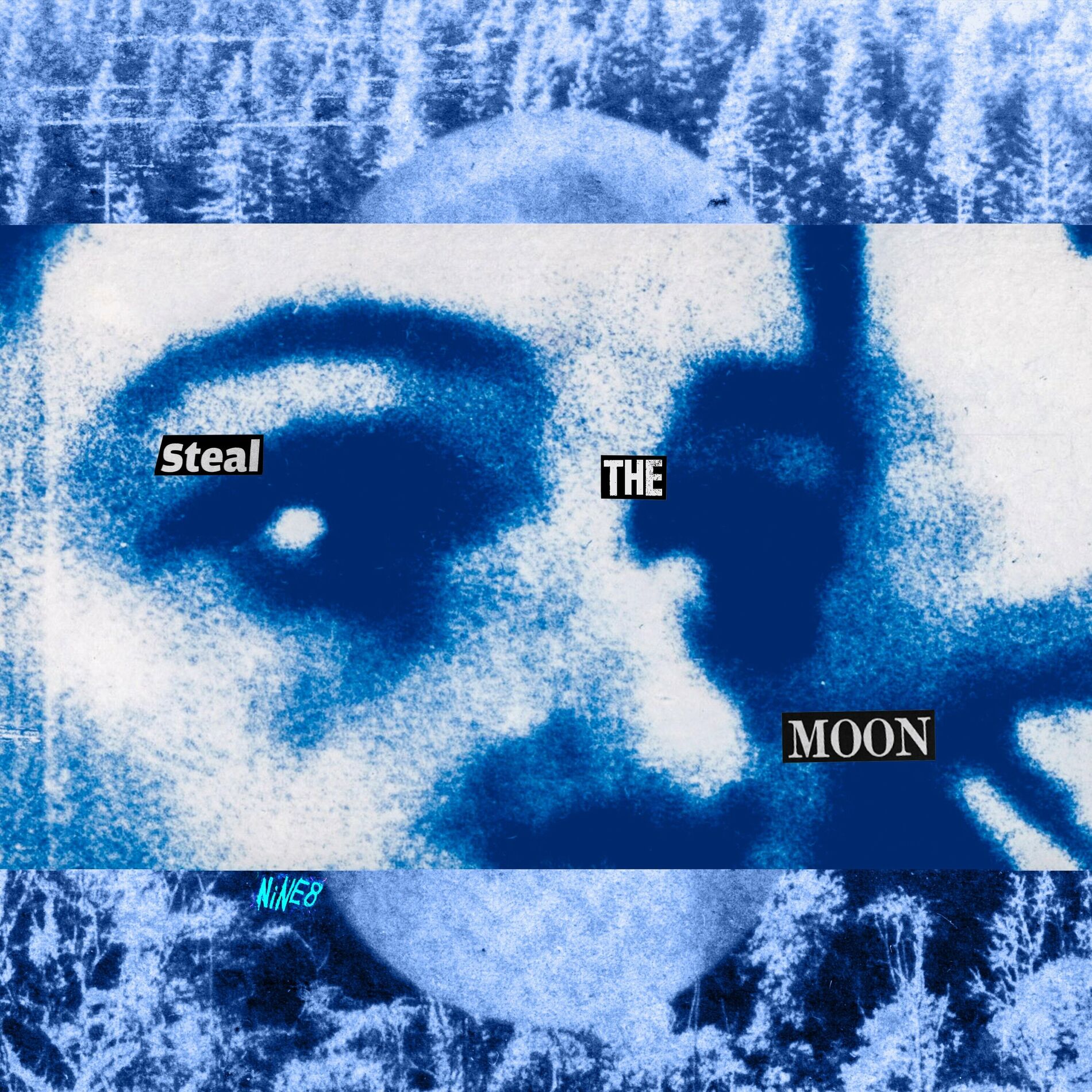 Album cover of Steal the Moon