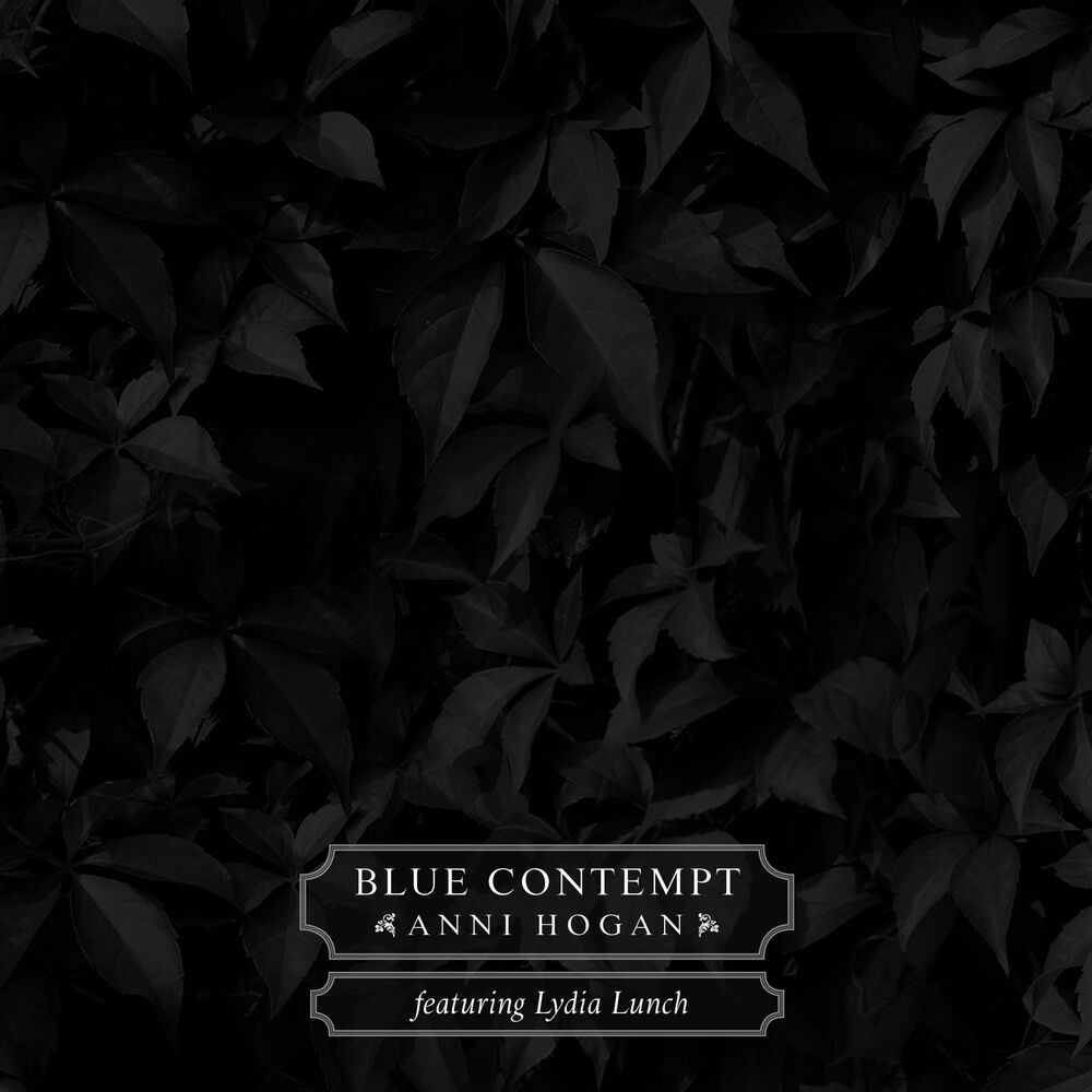 Picture of Blue Contempt