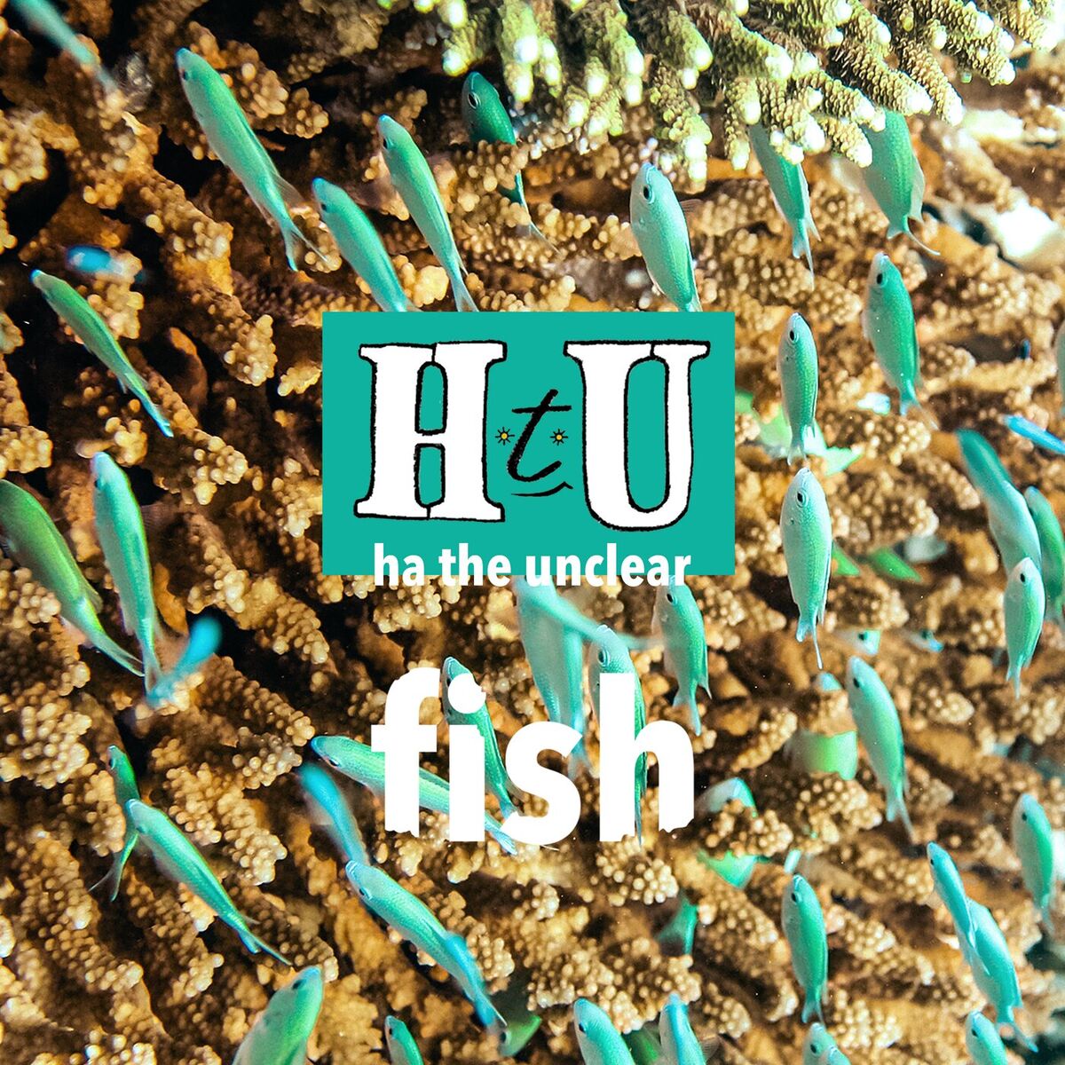 Album cover of Fish