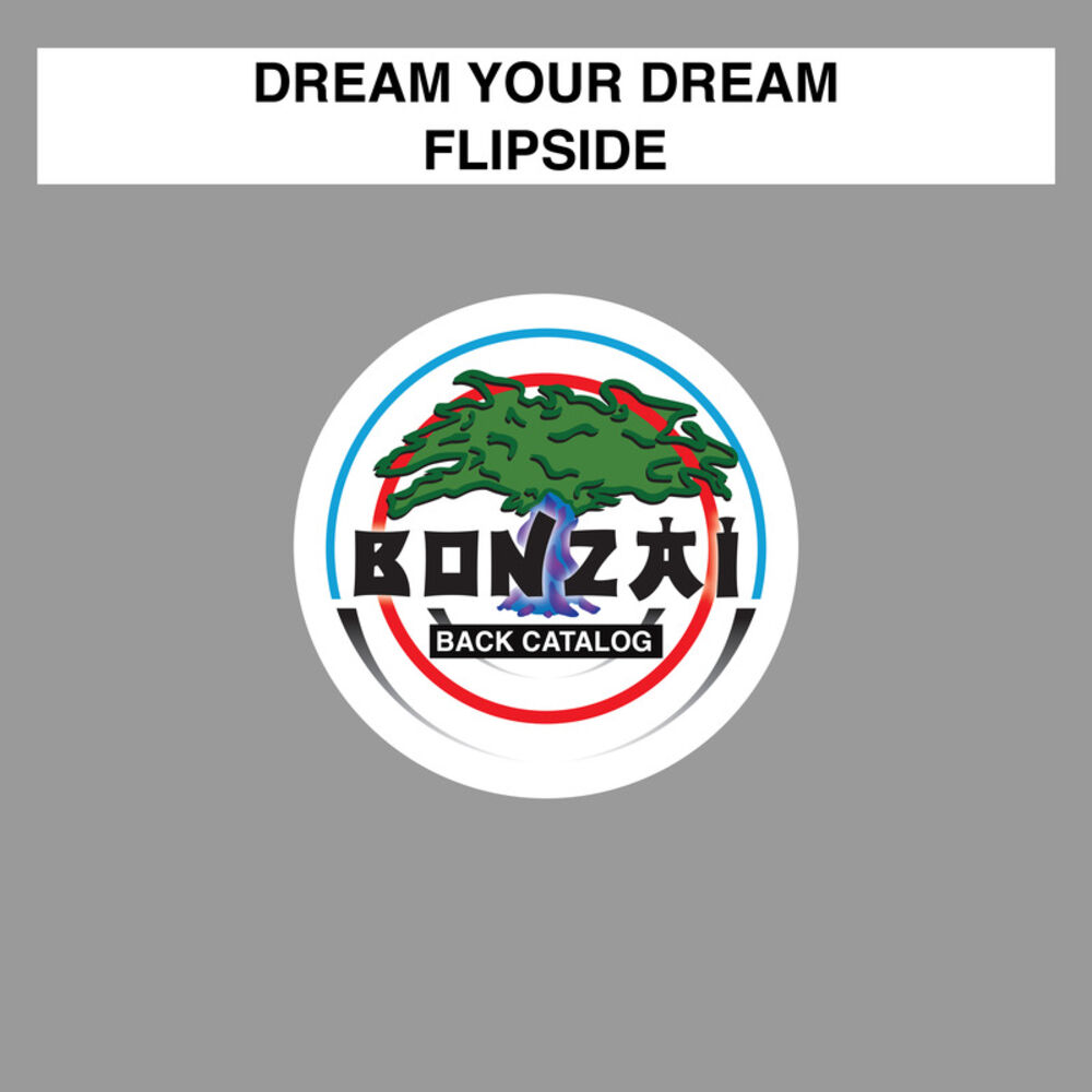 Picture of Flipside