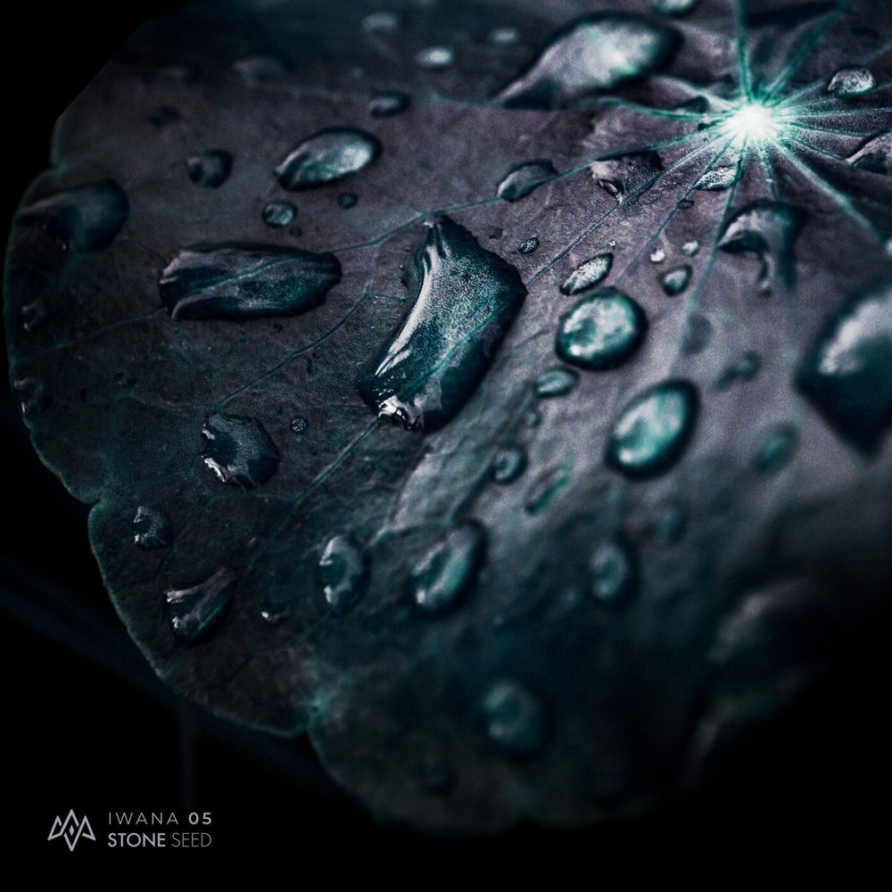 Album artwork for To Traverse An Eternal Void (SIDETRKT Remix) by Käse Kochen