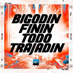 Cover of BIGODIN FININ, TODO TRAJADIN
