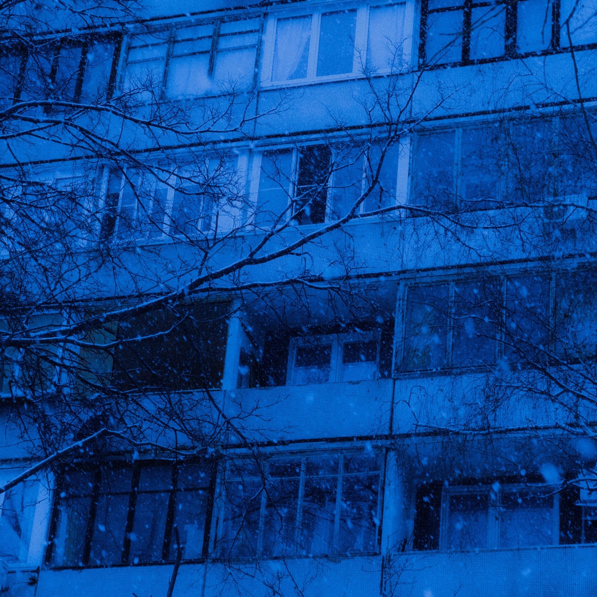 Album cover of the feeling that i'm used to