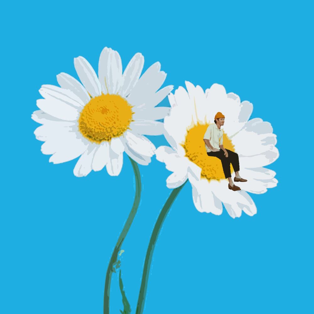 Picture of Daisies
