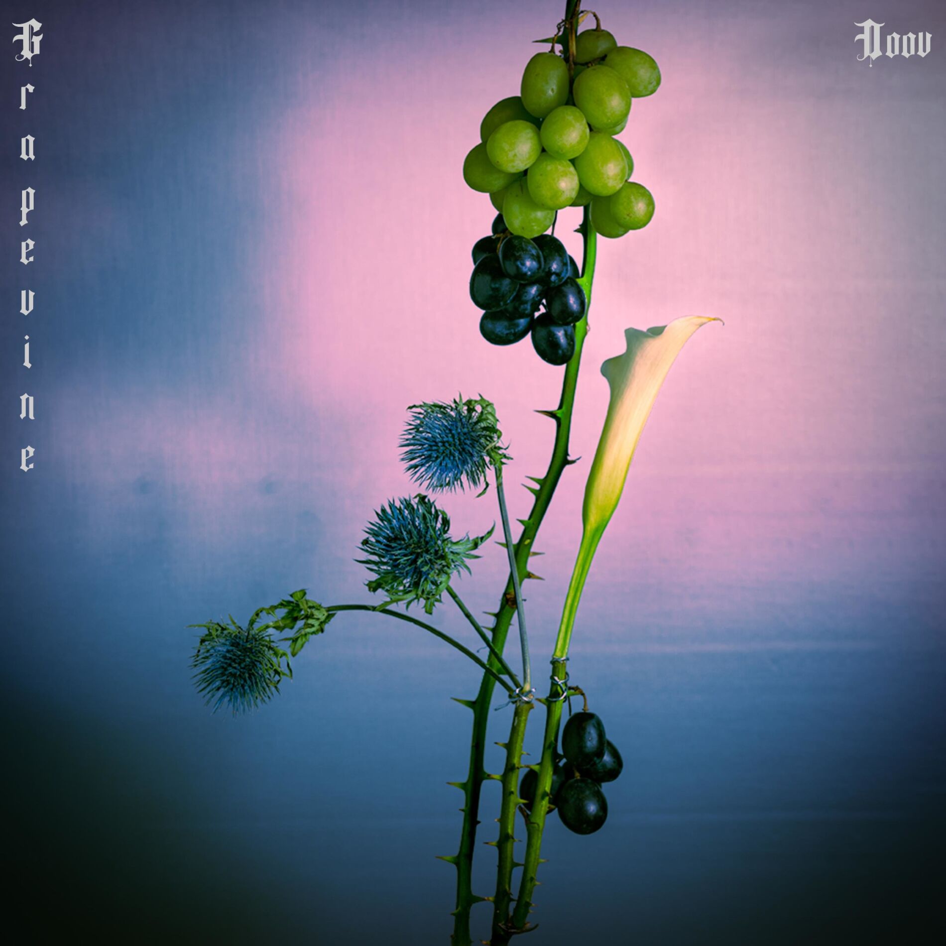 Album cover of Grapevine