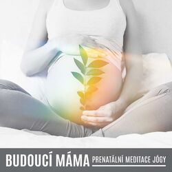 Cover of Budoucí Máma: Prenatální Meditace Jógy