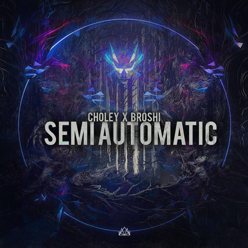 Picture of Semi Automatic
