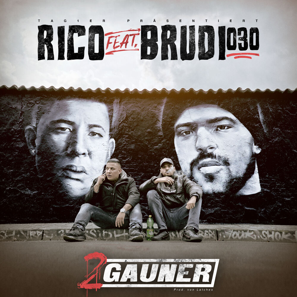 Picture of 2 Gauner (feat. Brudi030)