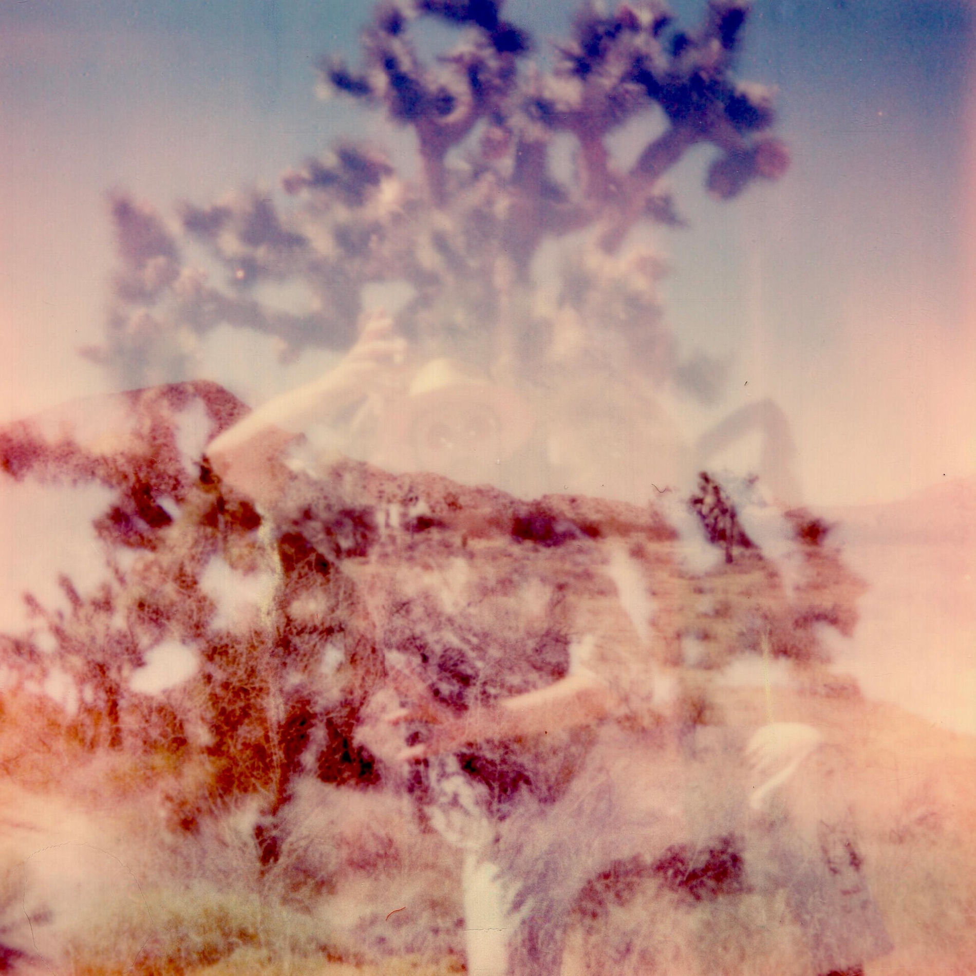 Album cover of Psychedelics