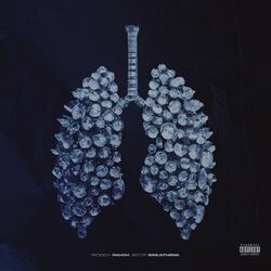 Cover of Stop Breathing