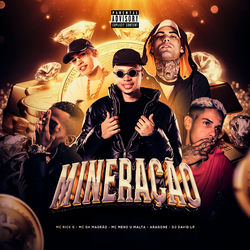 Cover of Mineração by undefined