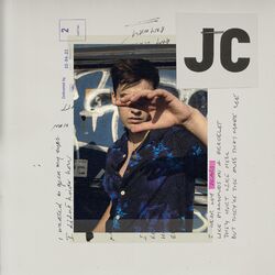 Cover of Scars