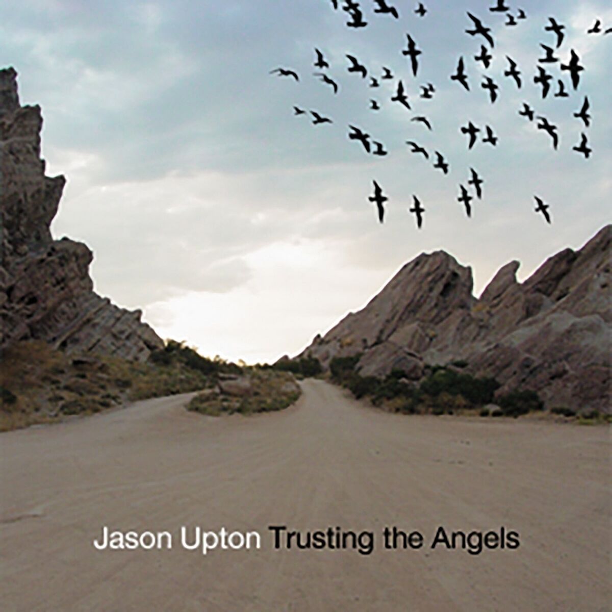 Album cover of Trusting the Angels