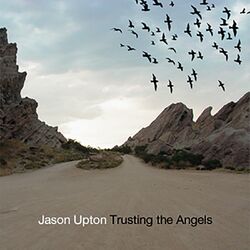 Cover of Trusting the Angels