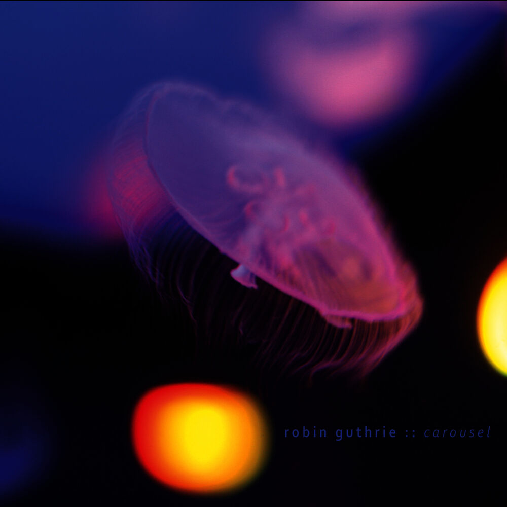 Picture of Carousel