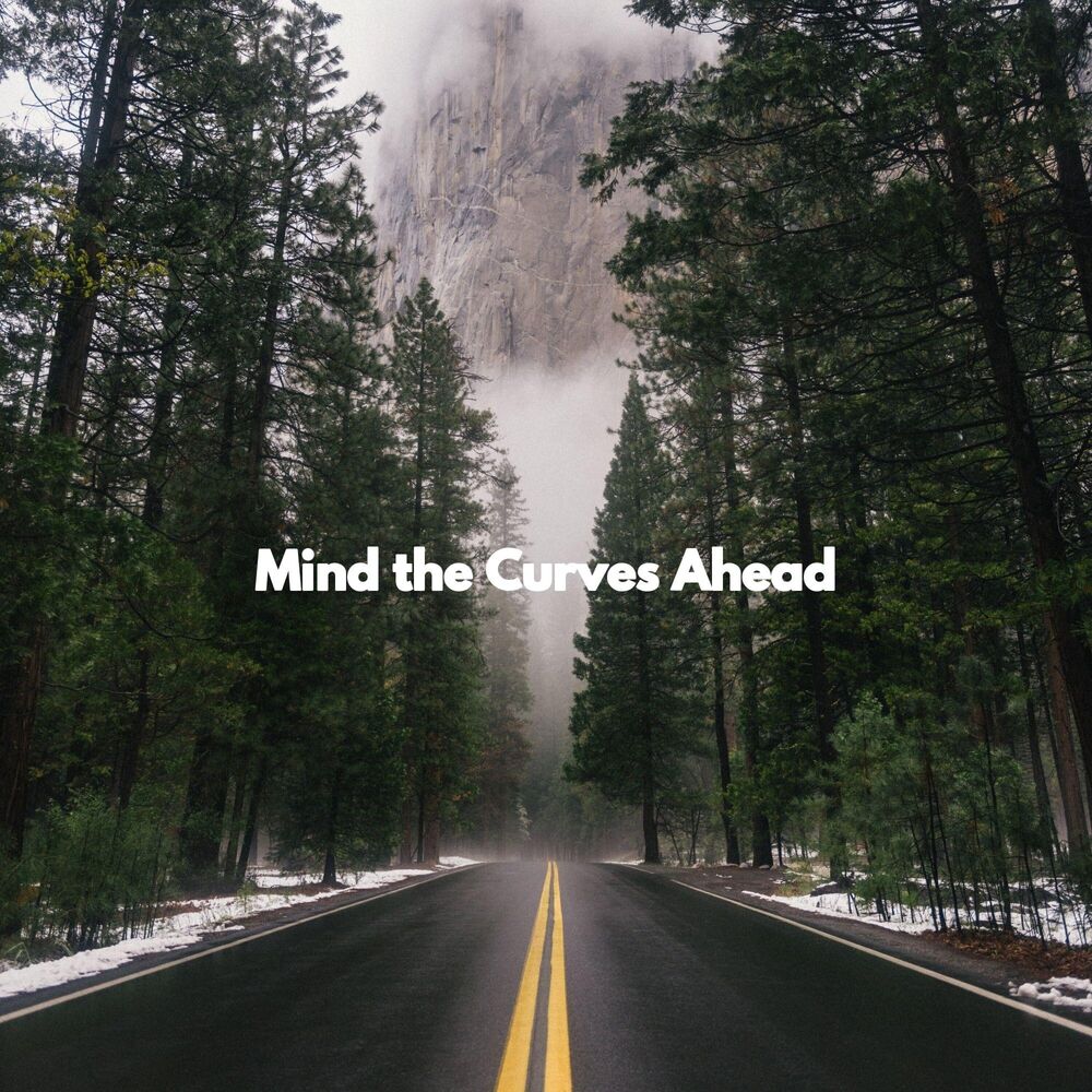 Picture of Mind the Curves Ahead