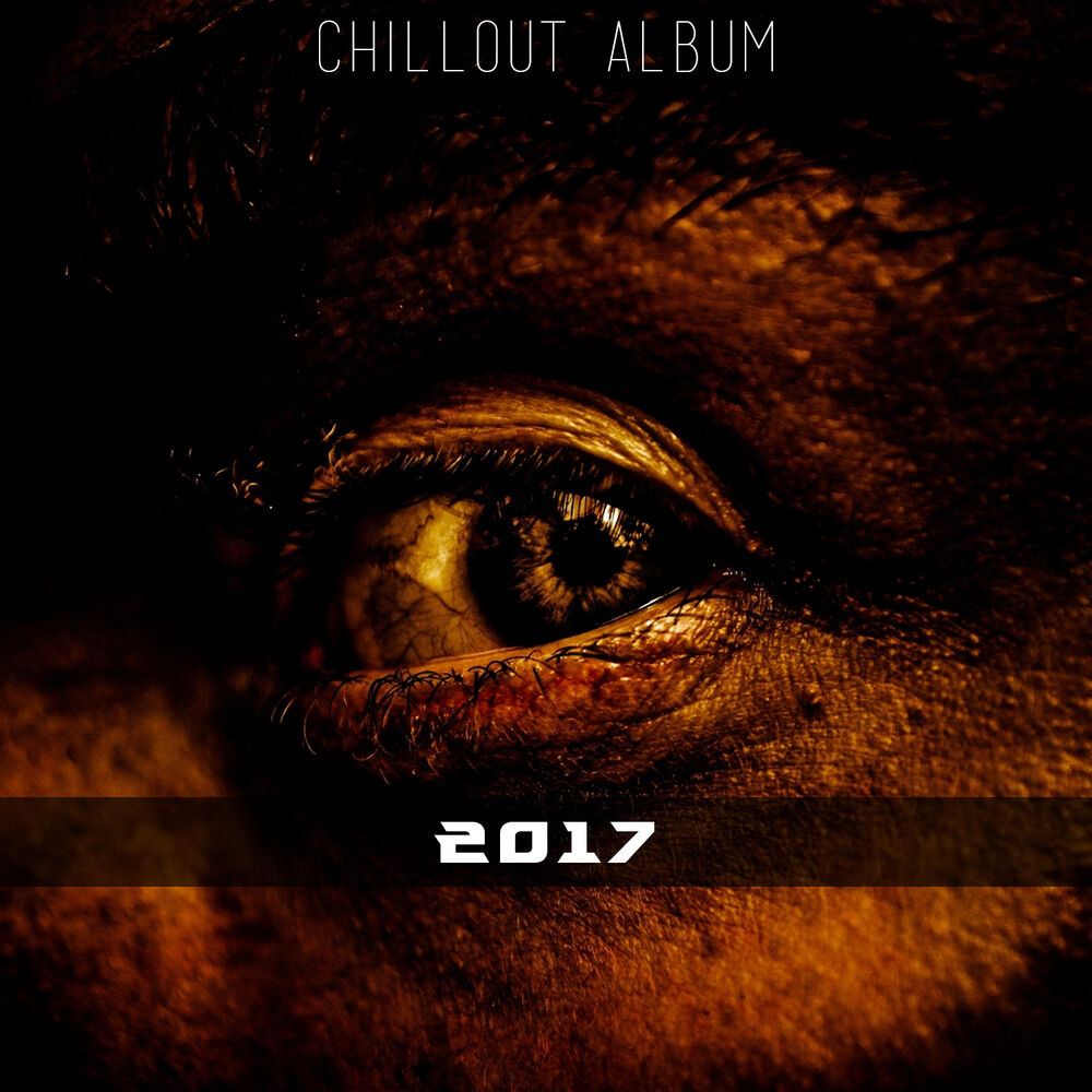 Picture of 2017 (Chillout Album)