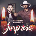 Surpresa