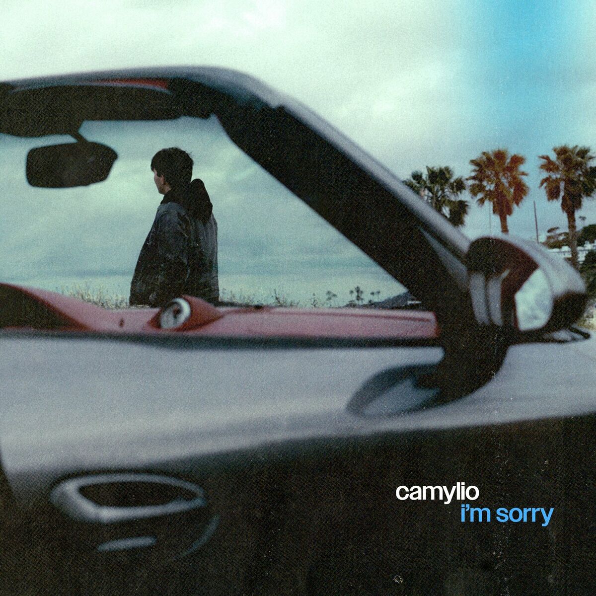 Album cover of i'm sorry