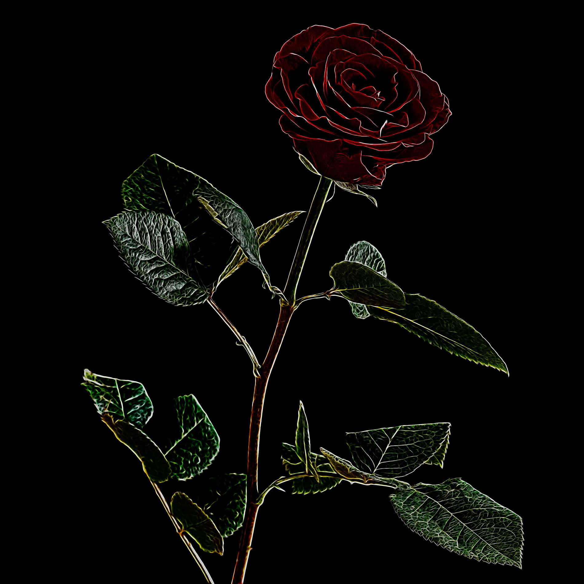 Album cover of If I Die