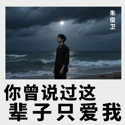 你曾说过这辈子只爱我