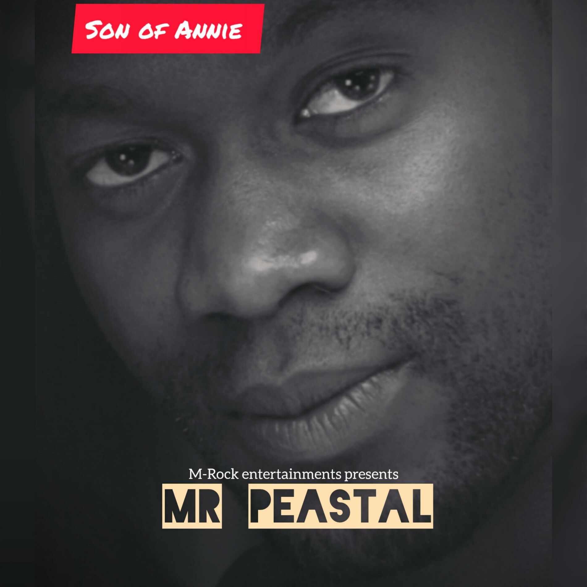 Album cover of Son of Annie