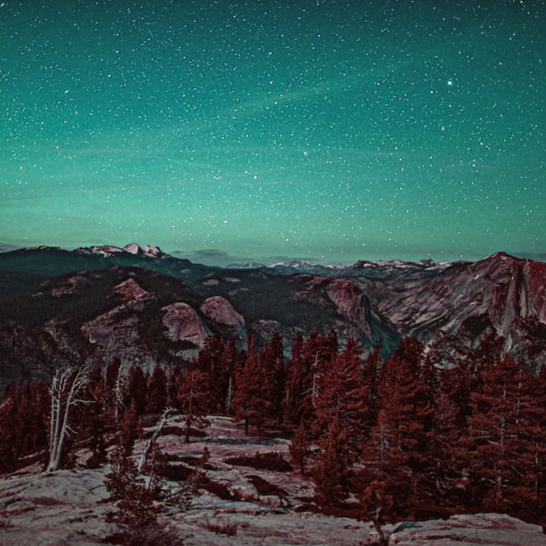 Album cover of Environmental Lavender