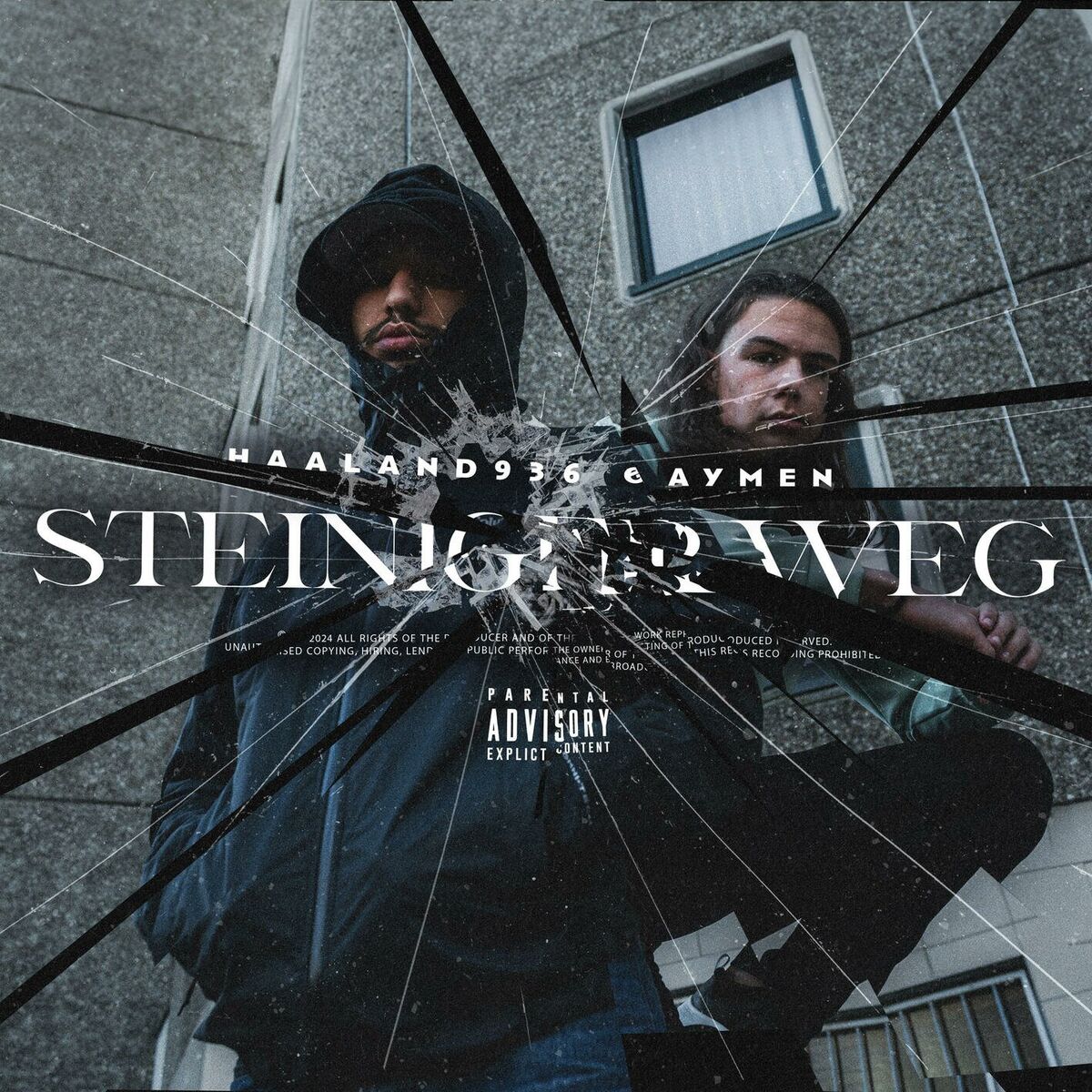 Album cover of Steiniger Weg