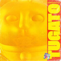 Cover of Tu Gato