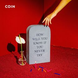 Cover of How Will You Know If You Never Try