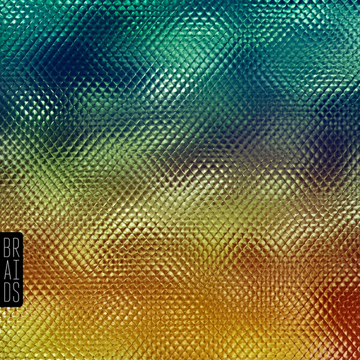 Album cover of Native Speaker