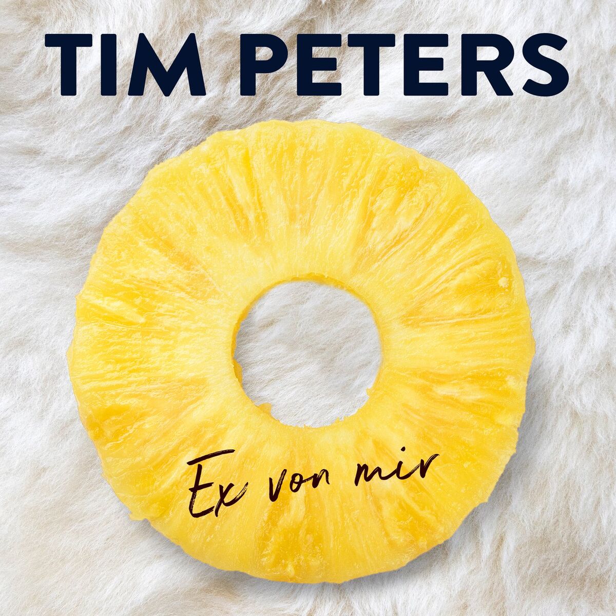 Album cover of Ex von mir (Akustik Version)
