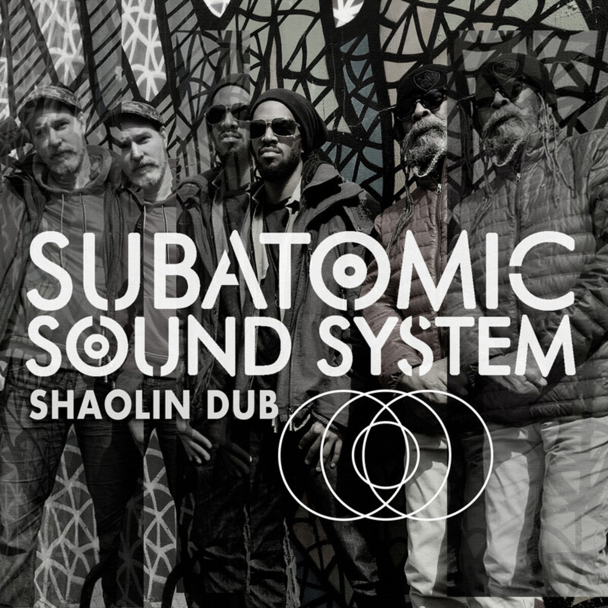 Album cover of Shaolin Dub