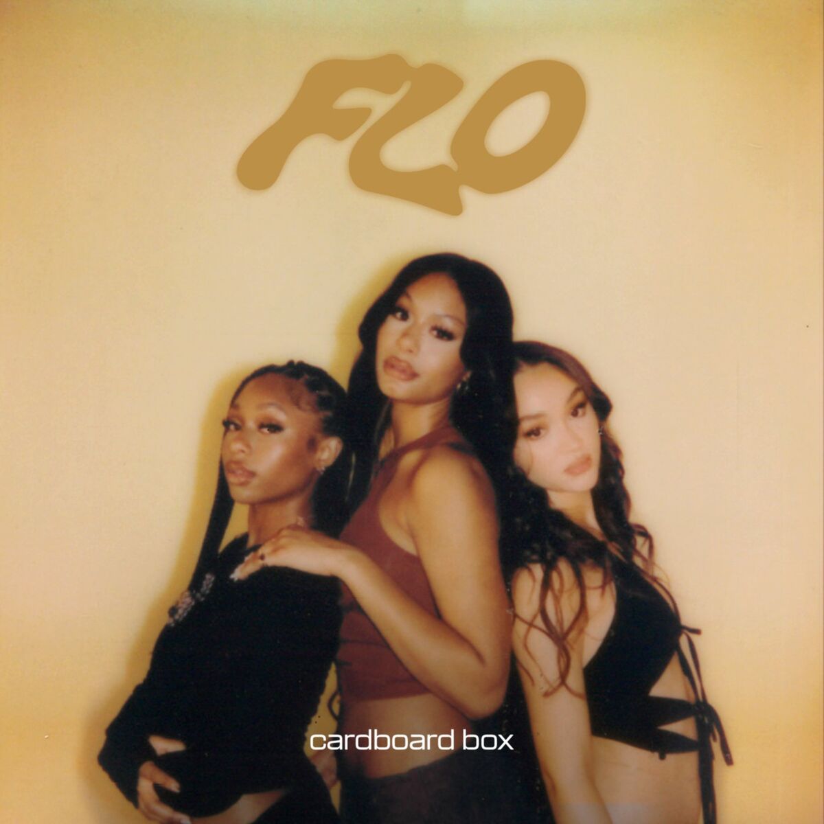 Album cover of Cardboard Box