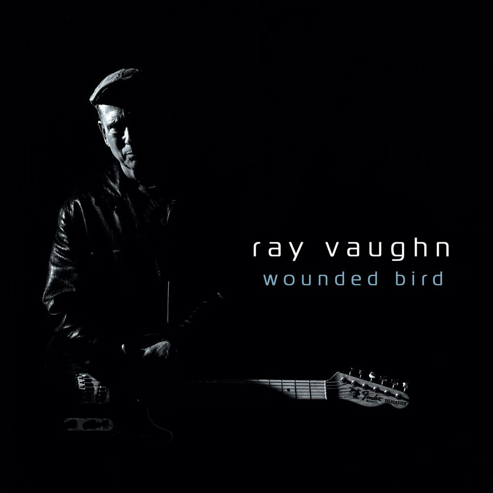 Picture of Wounded Bird
