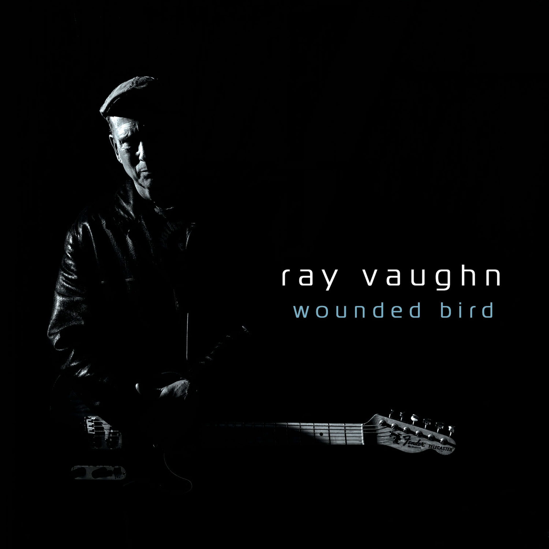 Album cover of Wounded Bird