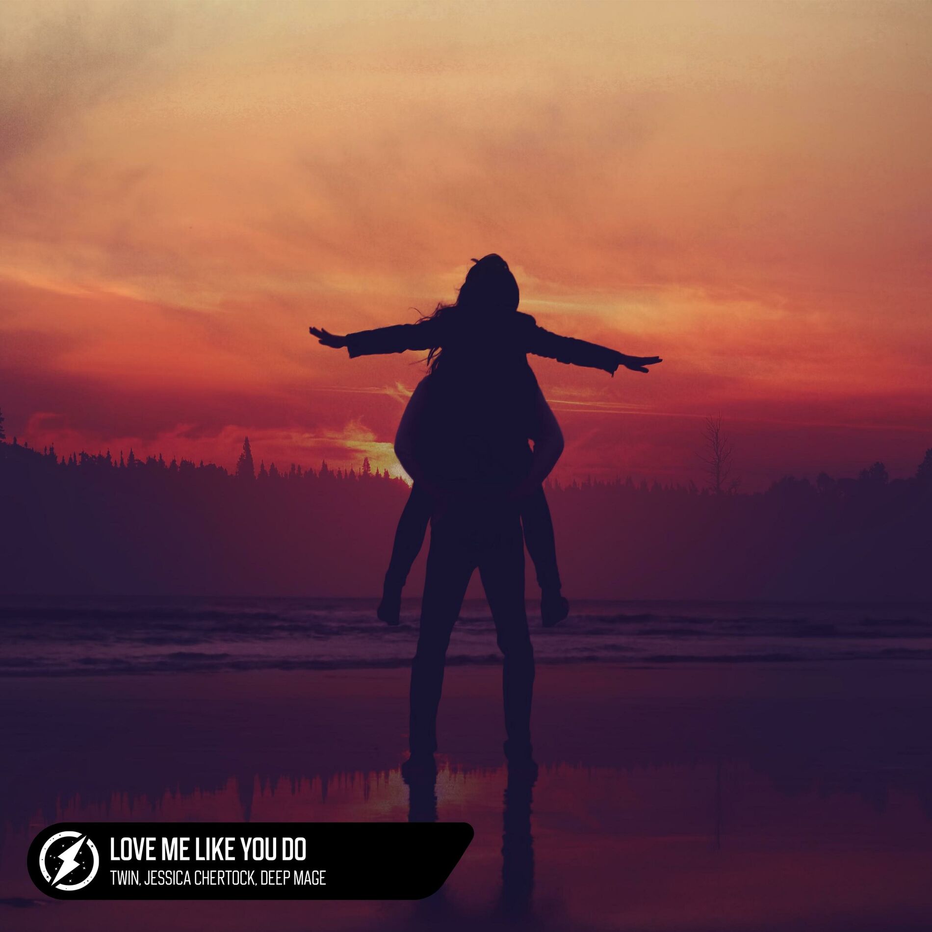 Album cover of Love Me Like You Do