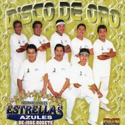 Cover of Disco De Oro
