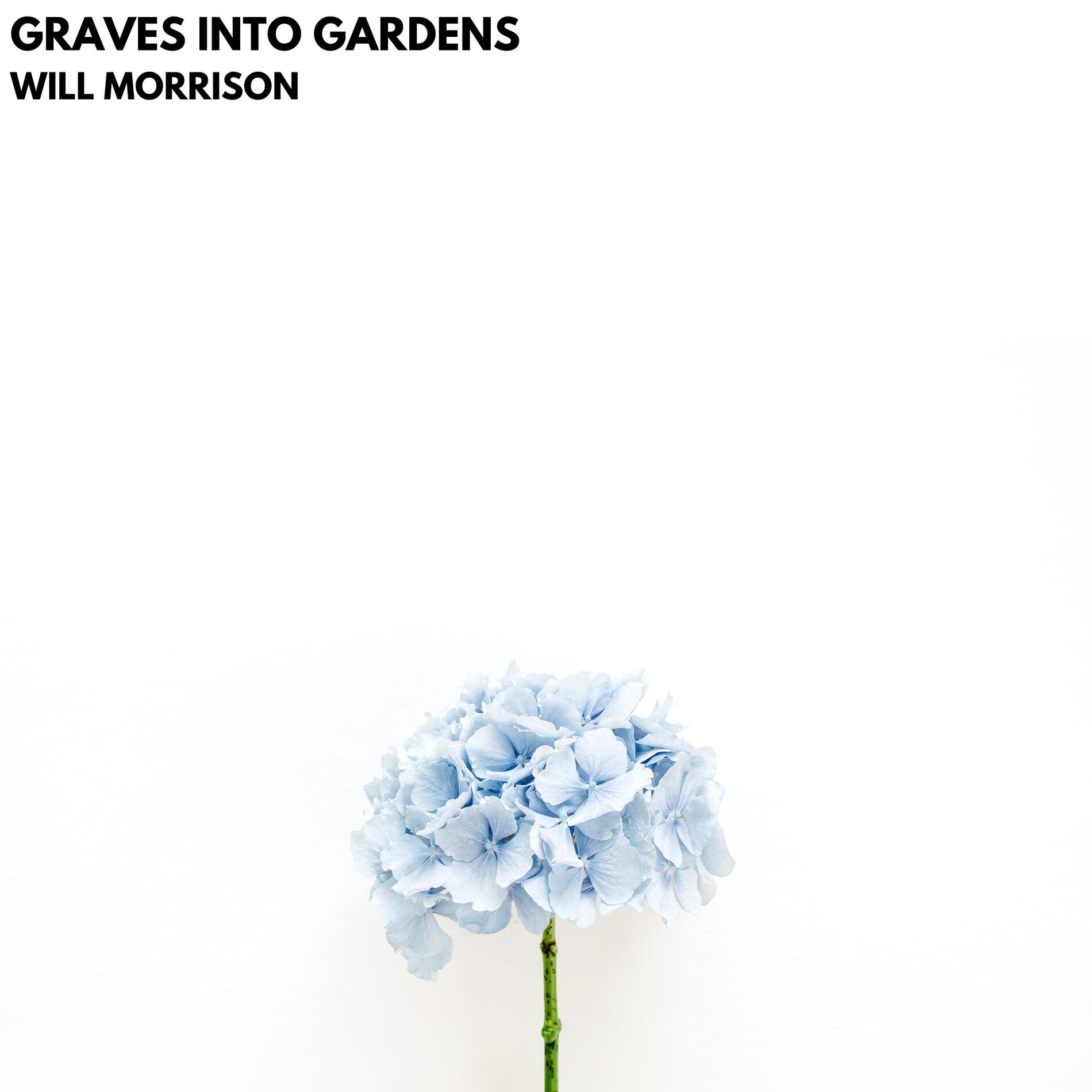 Album cover of Graves Into Gardens