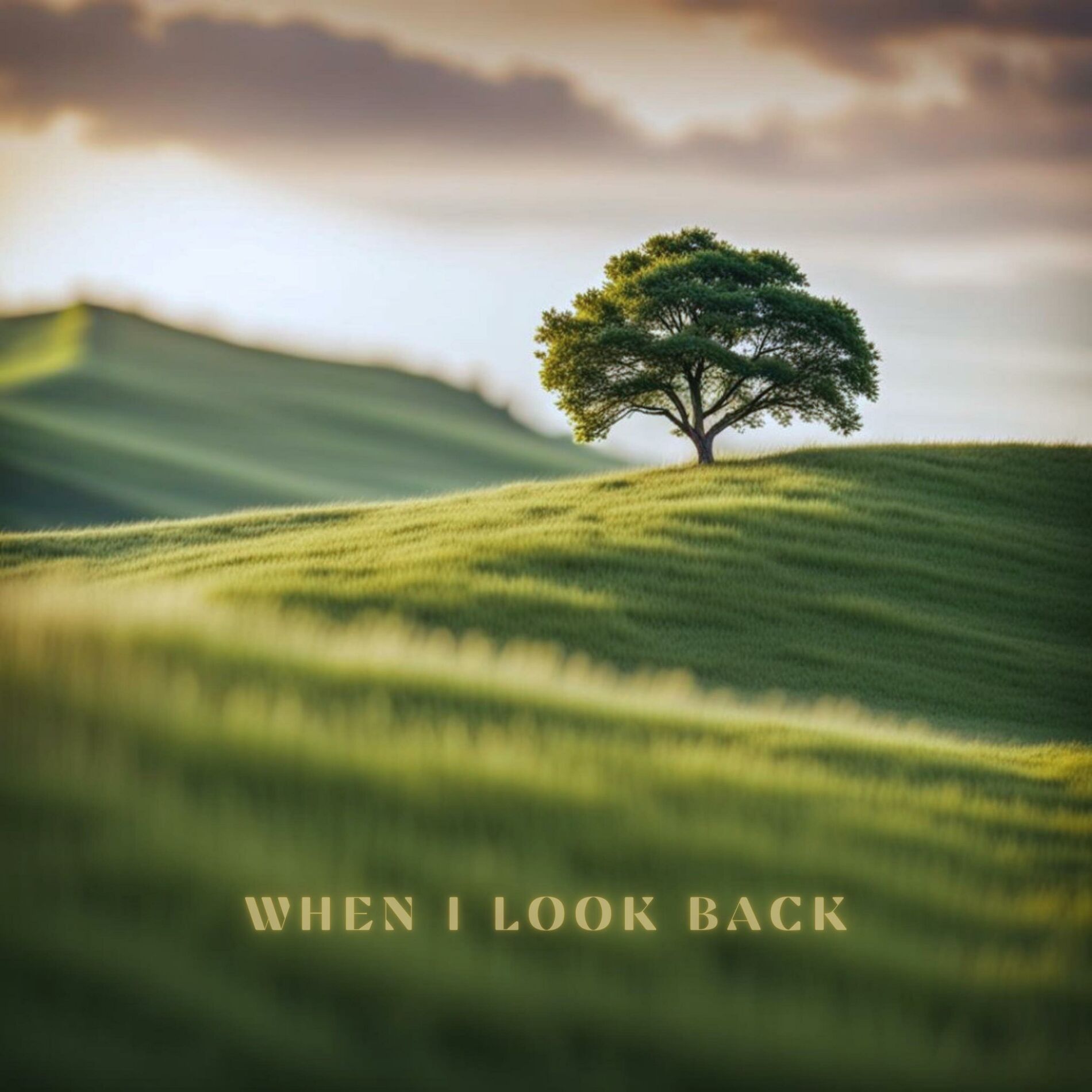 Album cover of When I Look Back