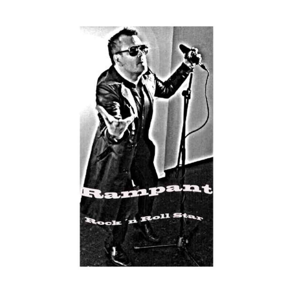 Picture of Rock 'n Roll Star
