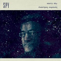 Cover of Starry Sky