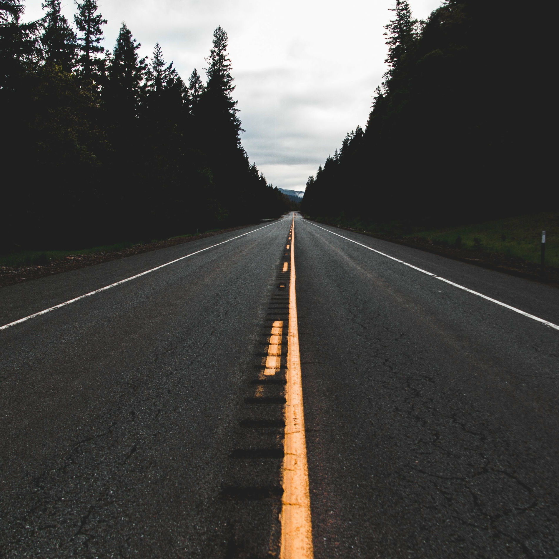 Album cover of Star of the Asphalt, Vol. 2