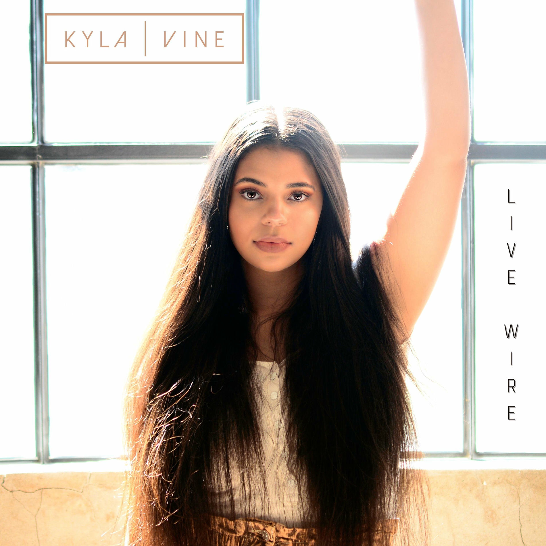 Album cover of Live Wire