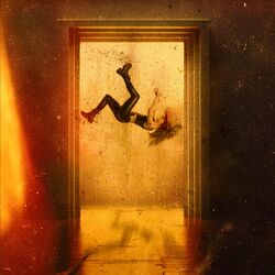 Cover of Basement