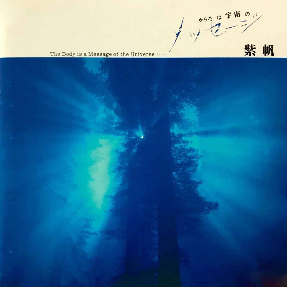 Album cover of Forestland