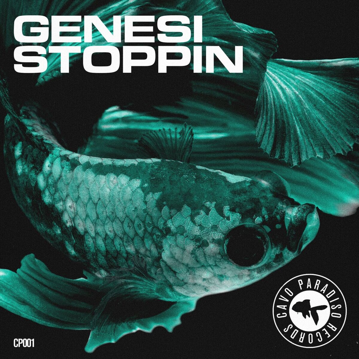 Album cover of Stoppin