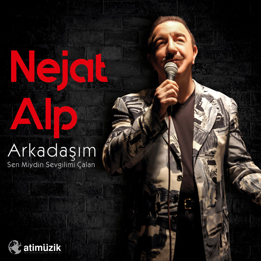 Picture of Arkadaşım / Sen Miydin Sevgilimi Çalan