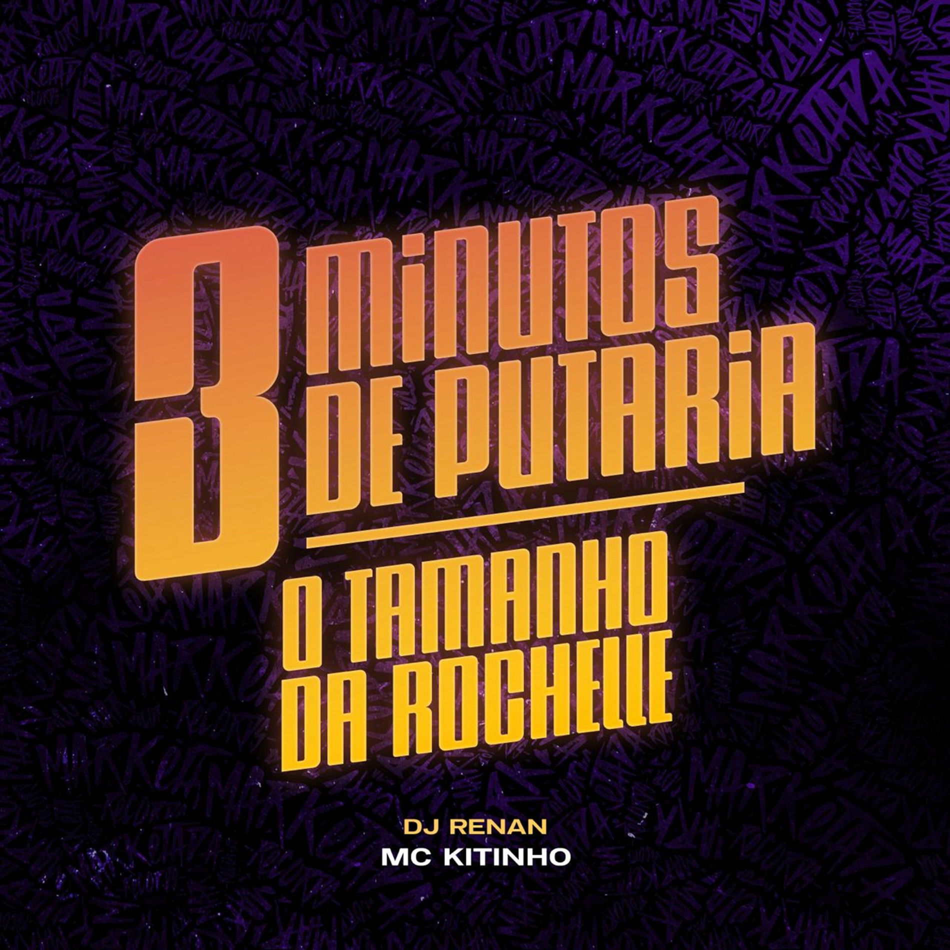 Album cover of 3 Minutos de Putaria - O Tamanho da Rochelle